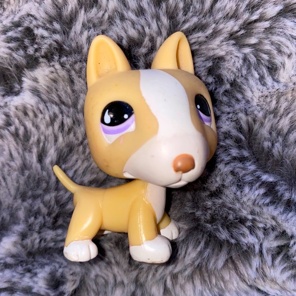 lps white dog
